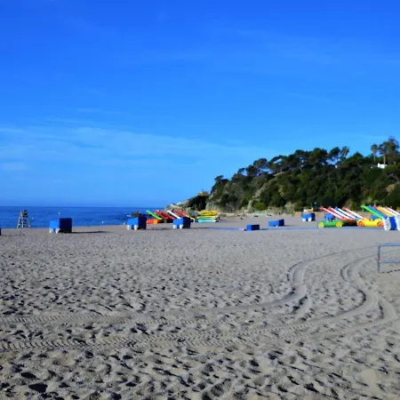 Verd 4 Pax Lloret de Mar